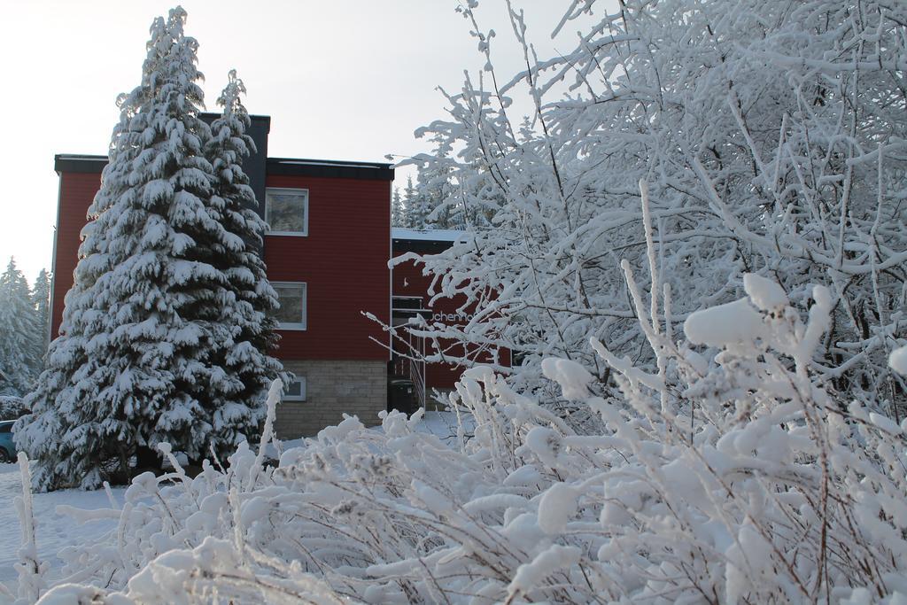 Der Buchenhof Lejlighed Braunlage Eksteriør billede